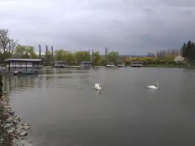 Можжевельник - 5