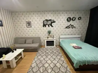 Квартиры на Олимпийской 38 - 43