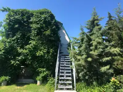 Отрада Плюс - 18