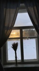 Уютный лесной домик со всеми удобствами в Полянках - 8