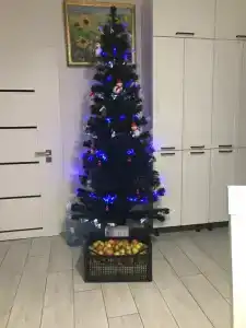 Немецкий дом с садом - 32