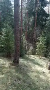 Коттедж у озера в Хабалинке - 36