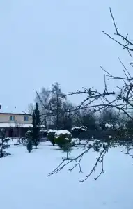 Мечта - 29