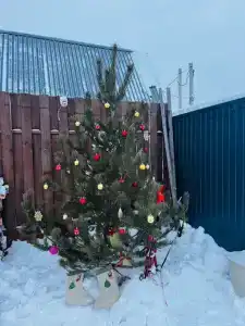 Сила Поля - 2