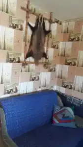 Гостевой дом Домик у пруда - 6