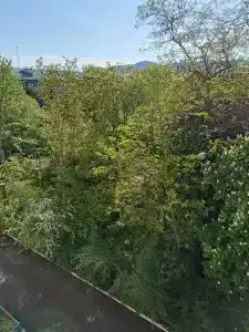 Квартиры на Губина 20 - 59