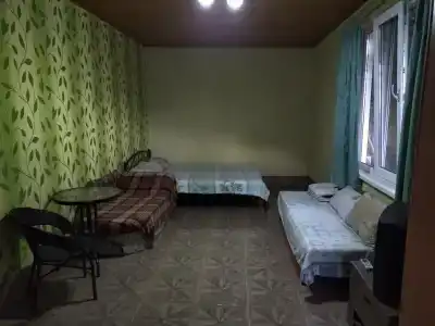 Астор - 4