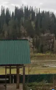 Кедровый дом на берегу реки Бия - 1
