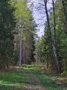 Коттедж у озера в Хабалинке - 49