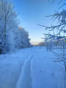 Солнечный Туттихутор - 3