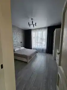 Снегири - 6