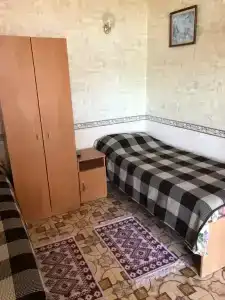 Кипарис - 17