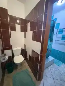Снежный Барс - 21