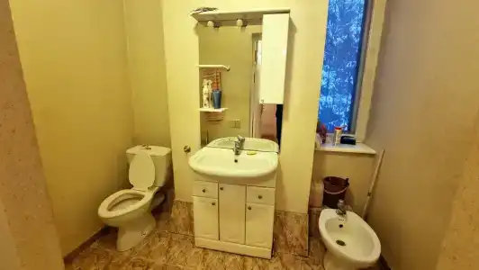 Замок в сосновом лесу - 12