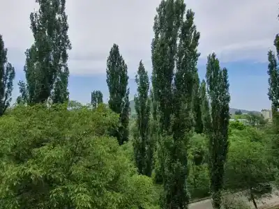 Жилье с видом на г. Машук. - 3