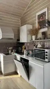 Катунская синица - 26