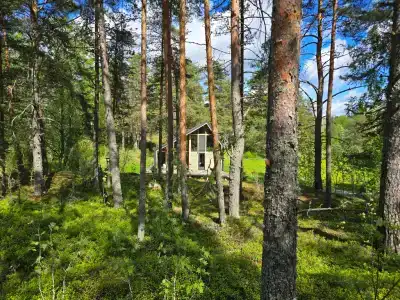 Karelian Barnhouse - 39