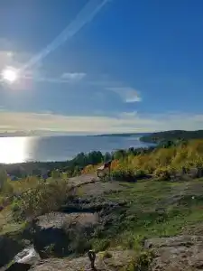 Полесье - 20