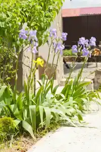 Ленивый Дельфин - 133