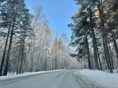 Барн & Чан - 45