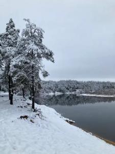 Уютный лесной домик со всеми удобствами в Полянках - 16