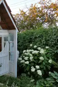 Лисапедово - 113