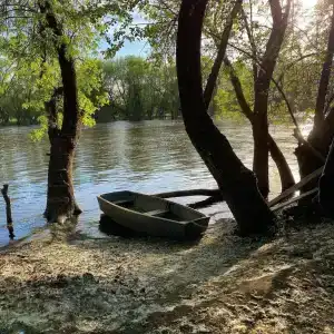 Домики в лотосах - 87