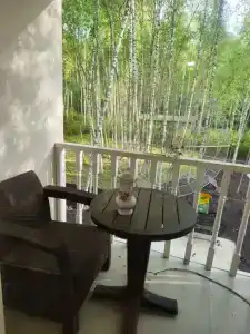 В гостях у леса - 55