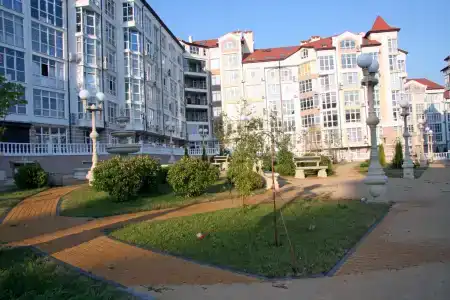 Лес и море - 12