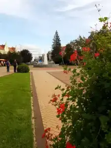 Квартиры на Уральской 20 - 835