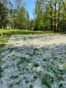 Хитрый Лис - 26