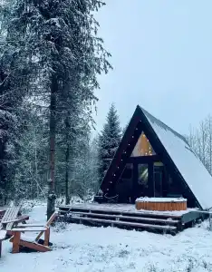 Дом A-frame с баней и купелью в сосновом лесу - 27