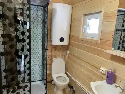 Сосновый бор на поляне Таулу - 8