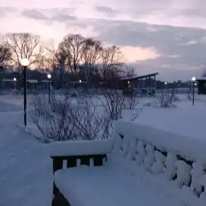 Belvedere - 19