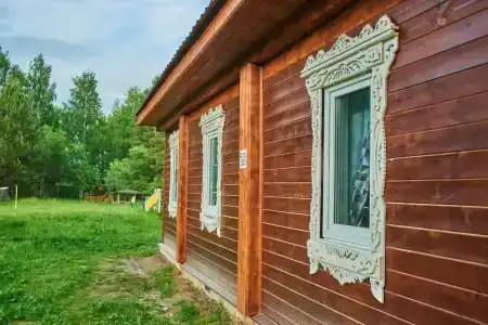 Подсолнухи - 45