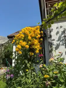 Дом в горах с кинотеатром Kurmimonte - 23