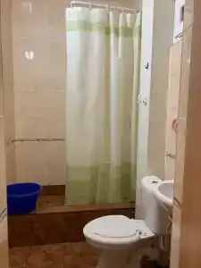 Феникс - 11