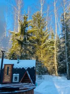 Дом A-frame с баней и купелью в сосновом лесу - 25