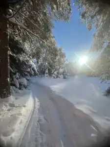 Дом Берендей - 29