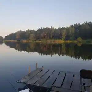 Лесной уголок - 27