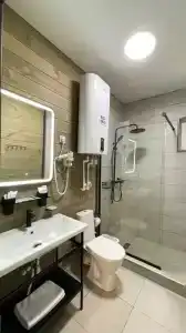 Шале в сосновом лесу - 3
