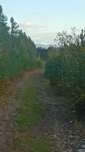 Дом у подножия гор Саяны - 12