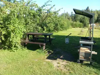 Аланевни - 11