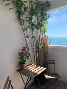 Coчи - 29