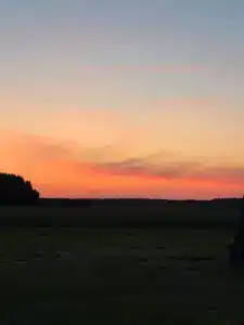 Усадьба в Беловежской пуще У камина - 34