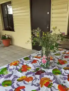 Уютный гостевой домик во дворе частной усадьбы - 4