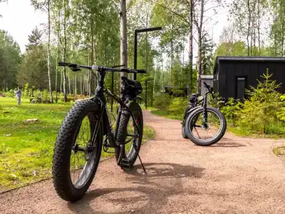 БарнХаус - 31
