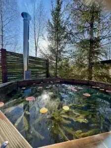 Гастроли - 26