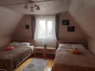 Эдельвейс - 10