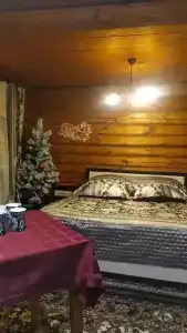 12 месяцев - 41